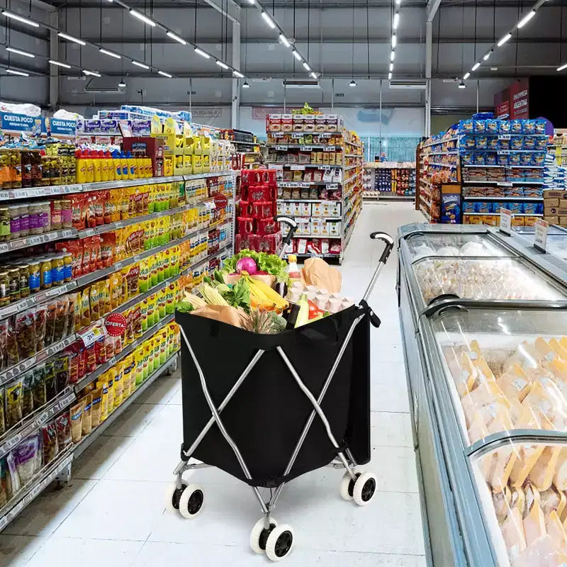 Carrello portaspesa pieghevole con borsa in tela rimovibile resistente all'acqua Nero/Blu
