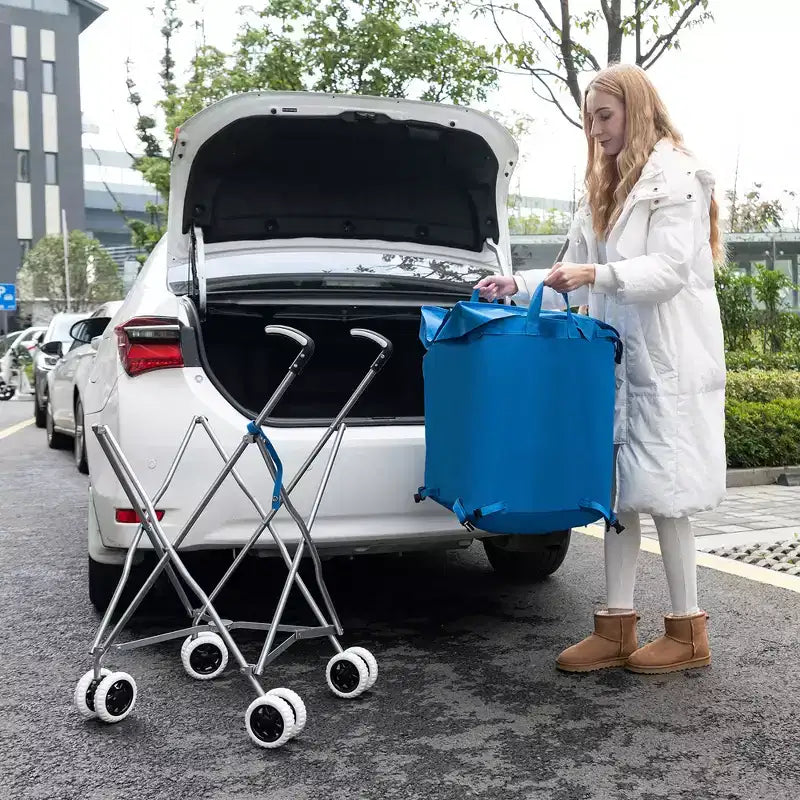 Carrello portaspesa pieghevole con borsa in tela rimovibile resistente all'acqua Nero/Blu