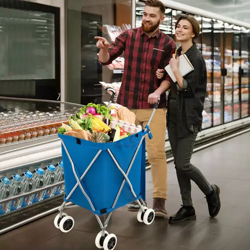 Carrello portaspesa pieghevole con borsa in tela rimovibile resistente all'acqua Nero/Blu