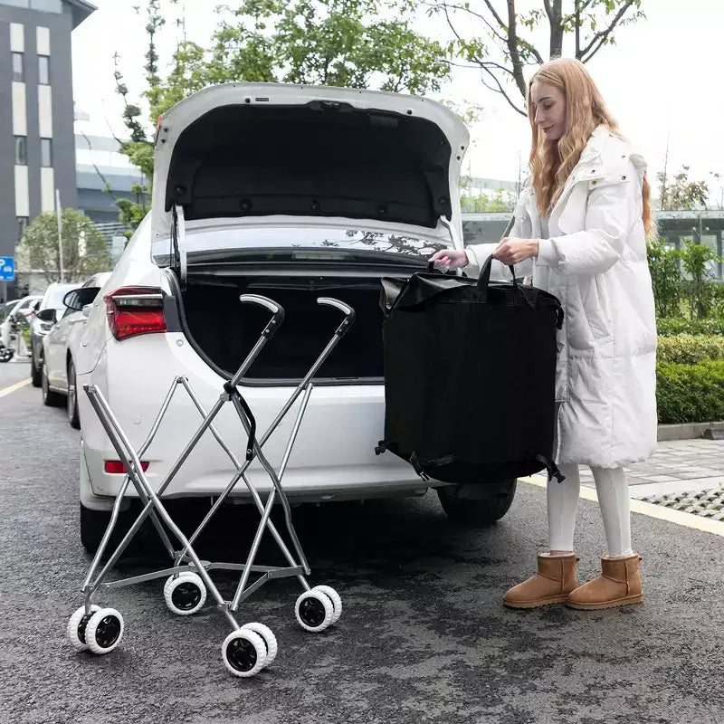 Carrello portaspesa pieghevole con borsa in tela rimovibile resistente all'acqua Nero/Blu