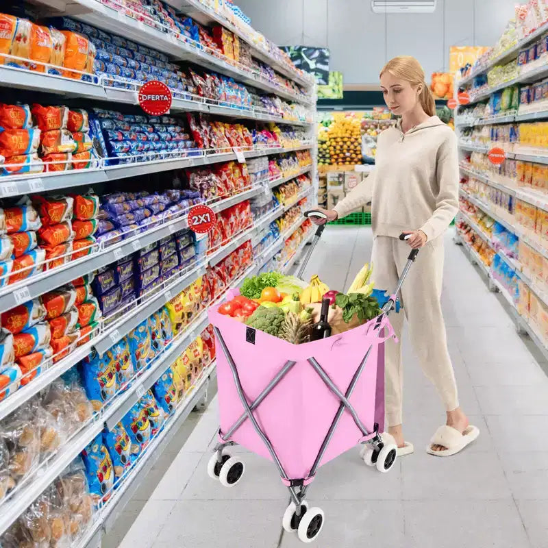 Carrello portaspesa pieghevole con borsa in tela rimovibile resistente all'acqua Nero/Blu