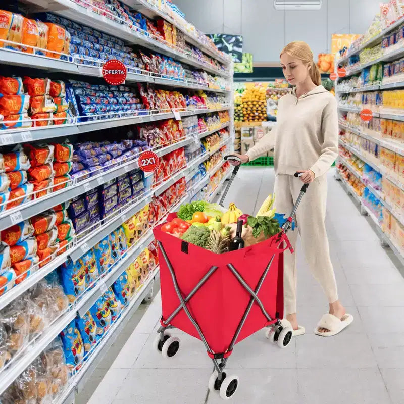 Carrello portaspesa pieghevole con borsa in tela rimovibile resistente all'acqua Nero/Blu