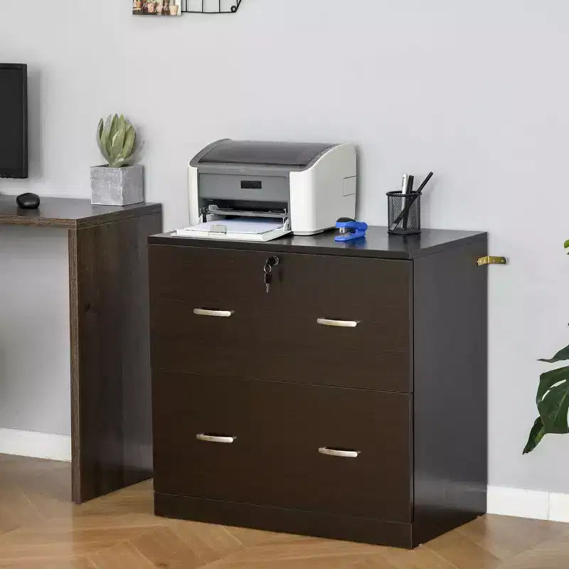 Schedario a 2 cassetti con serratura e chiavi, schedario verticale con barra appendiabiti per formato Letter, Home Office