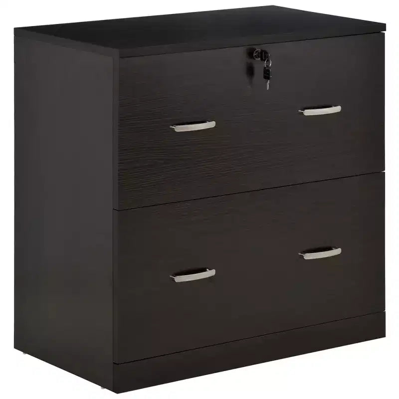 Schedario a 2 cassetti con serratura e chiavi, schedario verticale con barra appendiabiti per formato Letter, Home Office