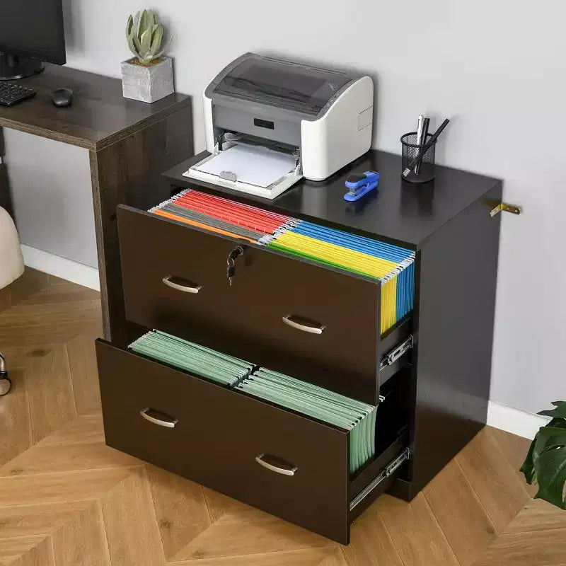 Schedario a 2 cassetti con serratura e chiavi, schedario verticale con barra appendiabiti per formato Letter, Home Office