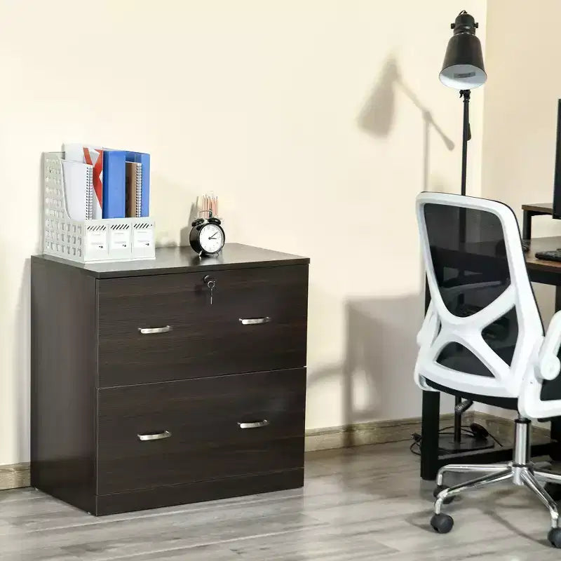 Schedario a 2 cassetti con serratura e chiavi, schedario verticale con barra appendiabiti per formato Letter, Home Office