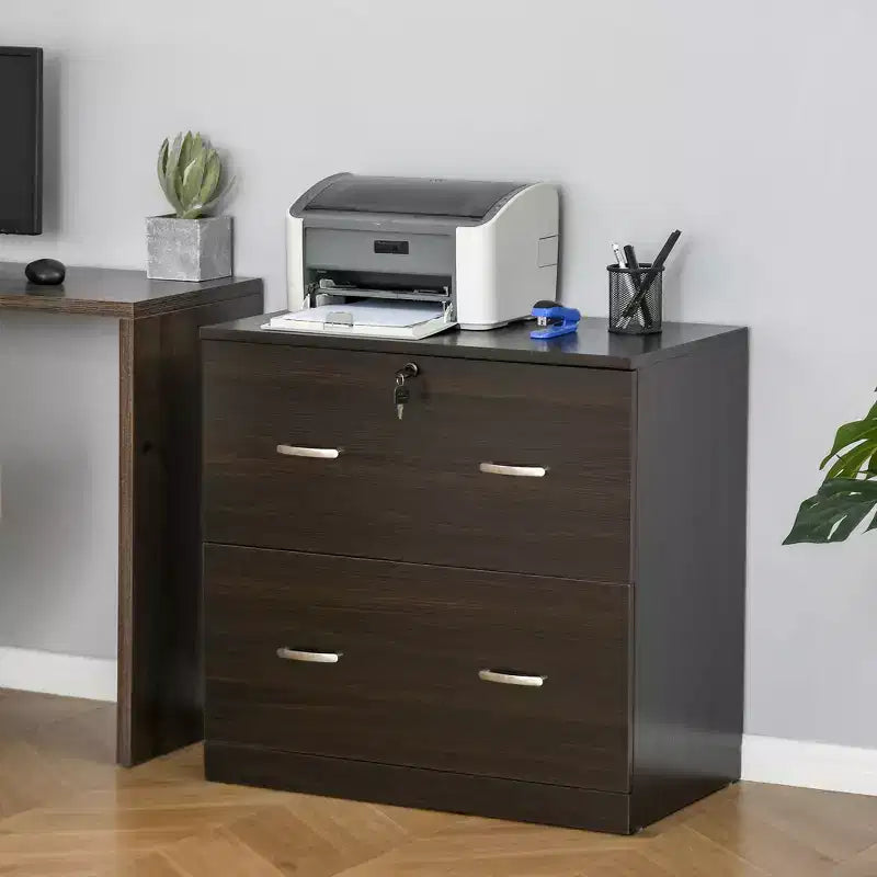Schedario a 2 cassetti con serratura e chiavi, schedario verticale con barra appendiabiti per formato Letter, Home Office