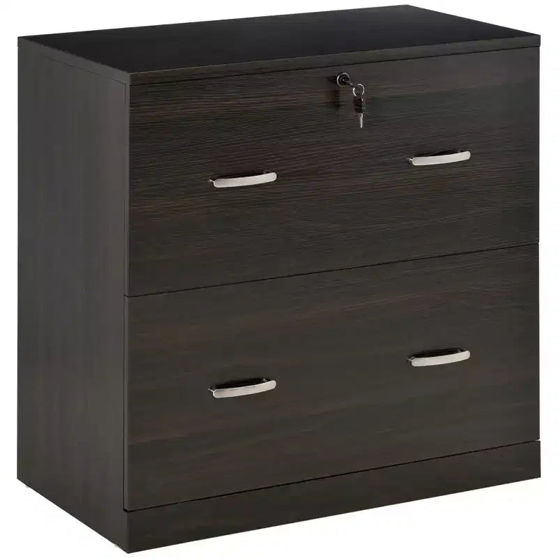 Schedario a 2 cassetti con serratura e chiavi, schedario verticale con barra appendiabiti per formato Letter, Home Office